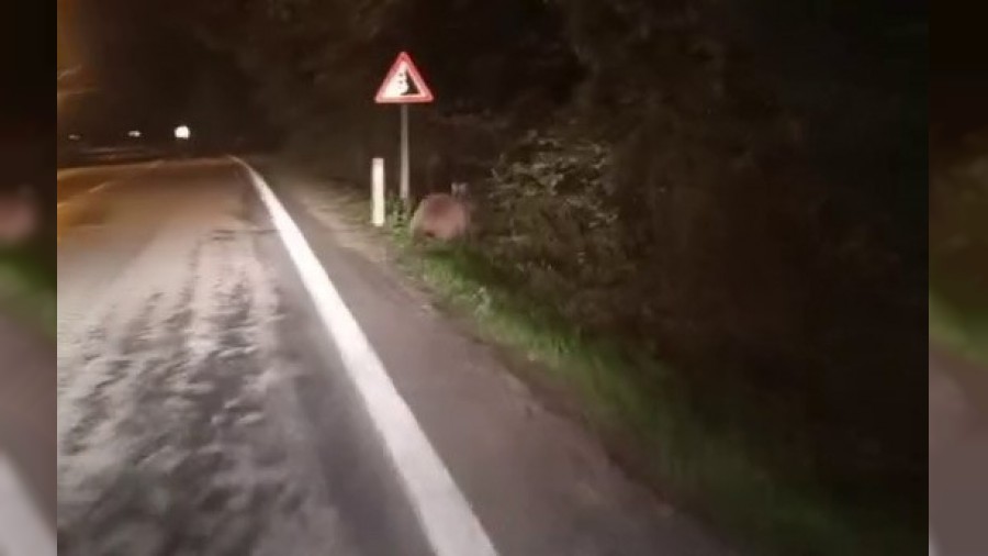 A kalan aylar yollara dt