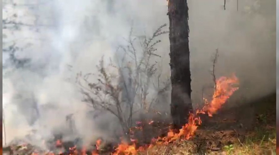 Safranbolu’da yldrm dmesi sonucu ormanda yangn kt 