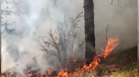 Safranbolu’da yldrm dmesi sonucu ormanda yangn kt 