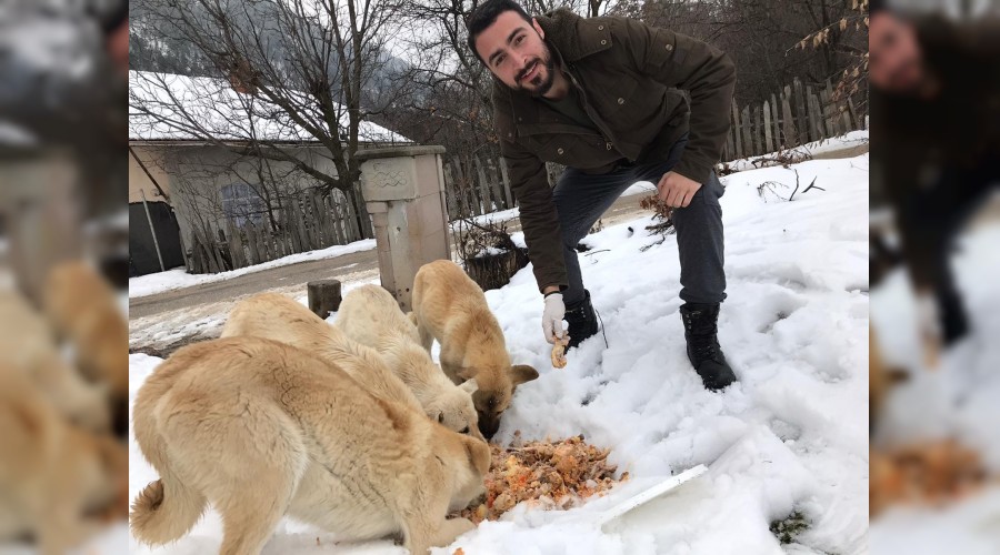 Sokak hayvanlarna umut oldular
