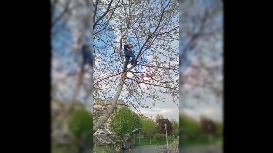 Ayaklar ipe dolanan gvercini vatanda kurtard