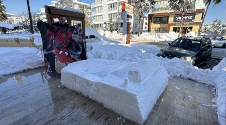 Herkes kardan gelin damat yaparken o yatak yapmay� se�ti