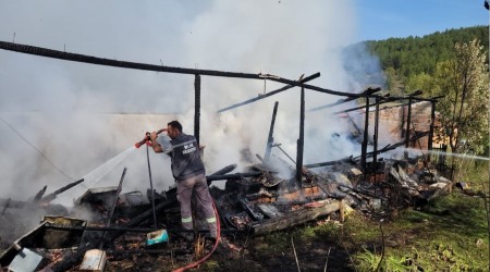 Yangnda 36 kovan ar telef oldu