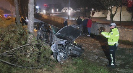 Kontrolden kan otomobil, direk ve aalara arpt: 1 yaral