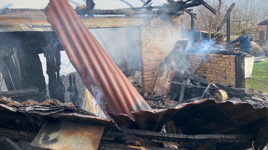 M��temilat yang�n�nda 2 k�pek yavrusu telef oldu