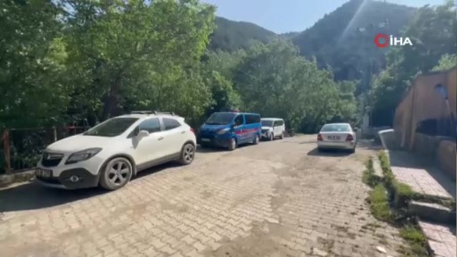 Karabk'te kpek lmleriyle ilgili soruturma balatld