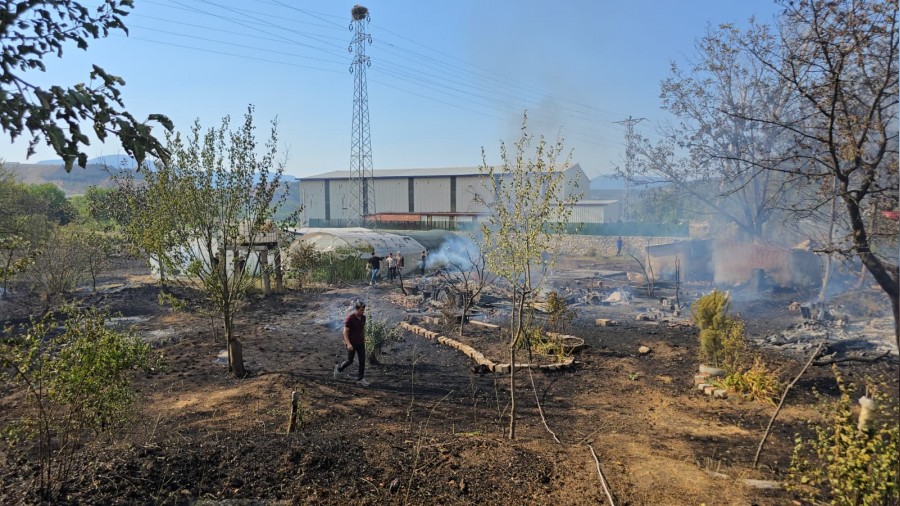 Karabk'te ikinci yangn: Evler ve seralar zarar grd