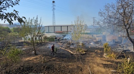Karabk'te ikinci yangn: Evler ve seralar zarar grd