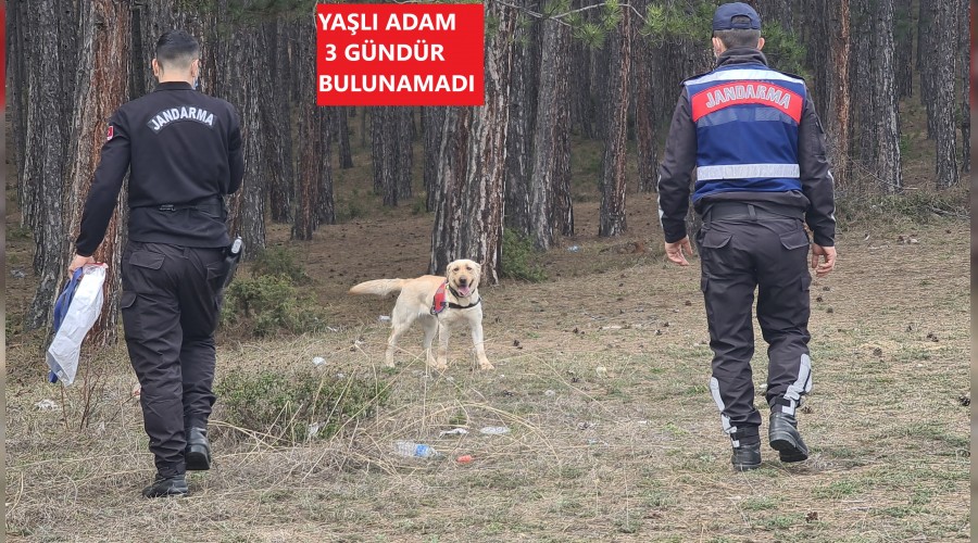 Nail dedeyi arama almalar sryor