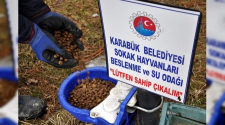 Belediye sokak hayvanlarn bayramda da unutmad