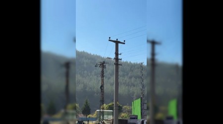 Trafik cezasına öfkelenen sürücü elektrik direğine çıktı