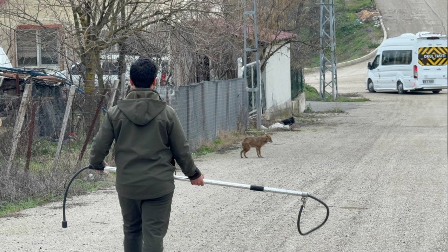 Yerle�im yerine inen hasta �akal tedavi edilip do�aya sal�nd�