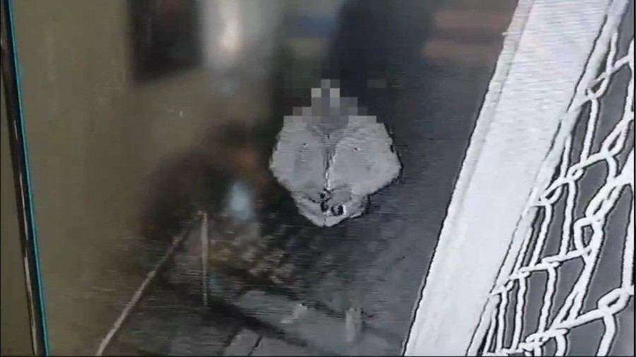 Biri okul kameras�n� di�eri sadaka kutusunu �ald�