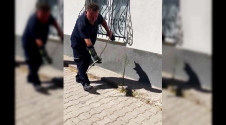 Doalgaz kutusuna giren ylan yakaland
