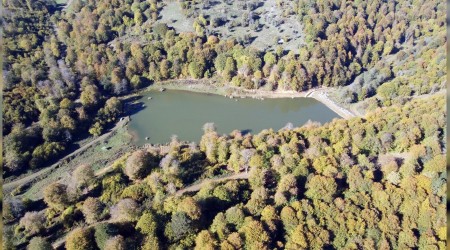 Yenice ormanlarnda sonbahar gzellii
