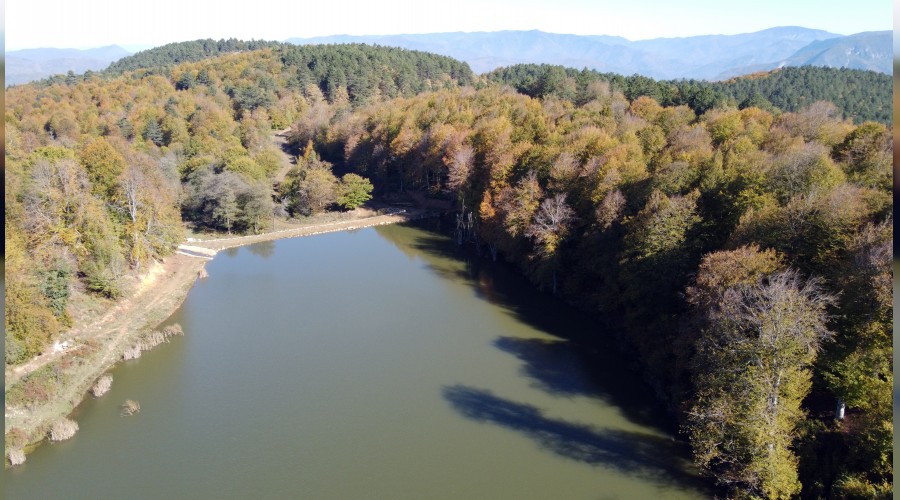 Yenice ormanlarında sonbahar güzelliği