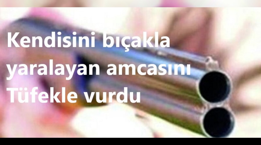 Amcasn tfekle vuran ahs tutukland