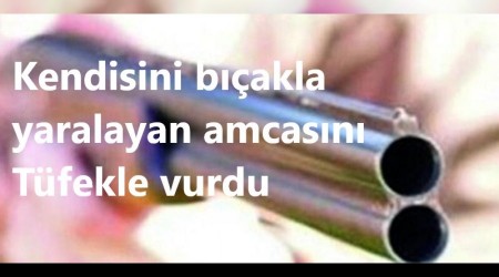 Amcasn tfekle vuran ahs tutukland