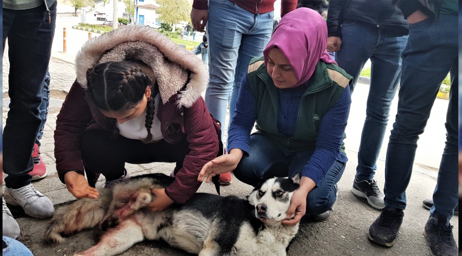 Otomobili ile arpt kpein banda dakikalarca bekledi