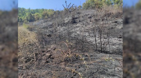 Yangn bymeden helikopterle mdahele edildi