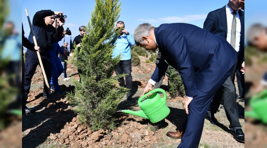 mzalanan protokol kapsamnda 560 fidan dikildi