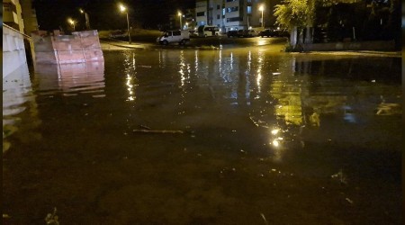 Metrekareye 20 kg ya dt, ev ve baheleri su bast