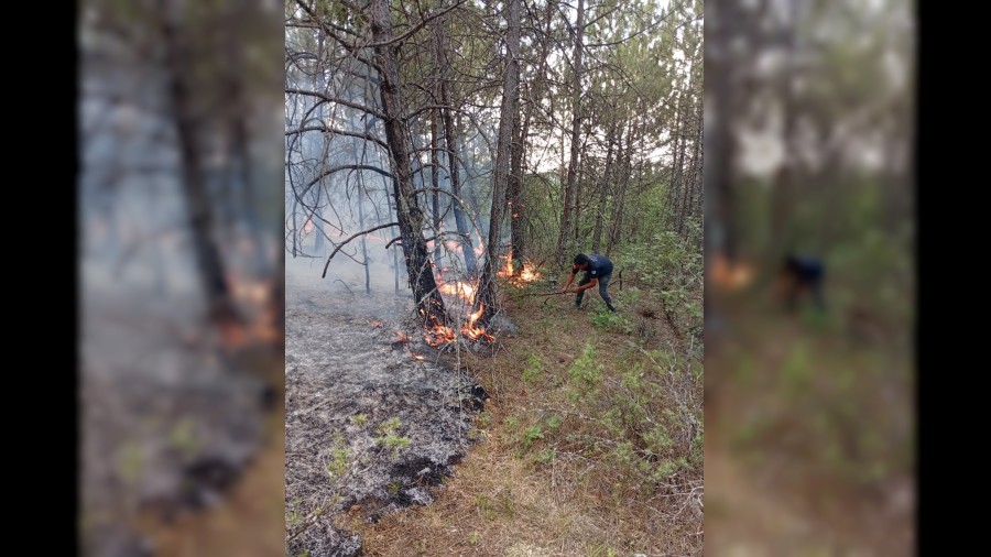 Ormanlk alandaki rt yangn kontrol altna alnd
