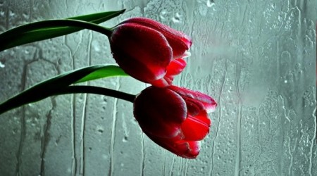 Orucun kazand�rd�klar�