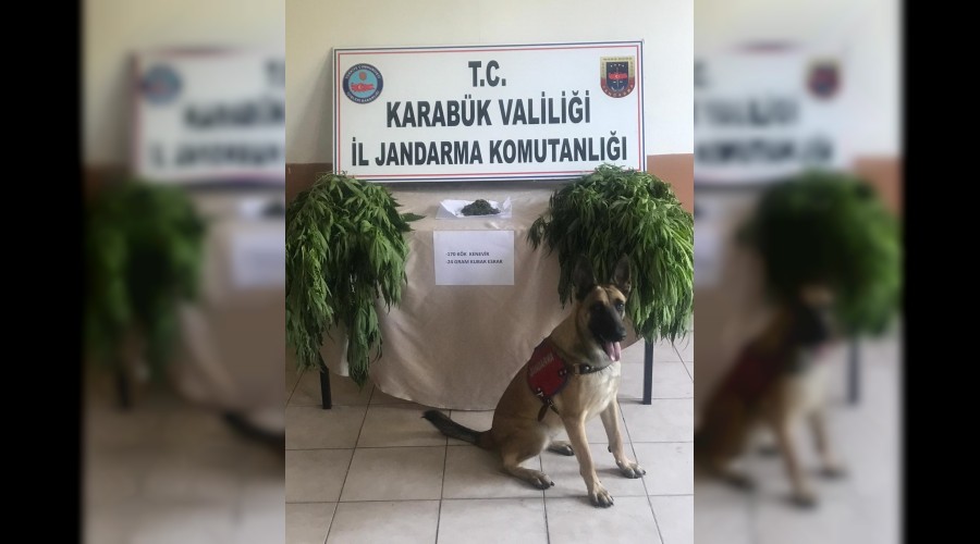 Safranboluda Uyuturucu Operasyonu