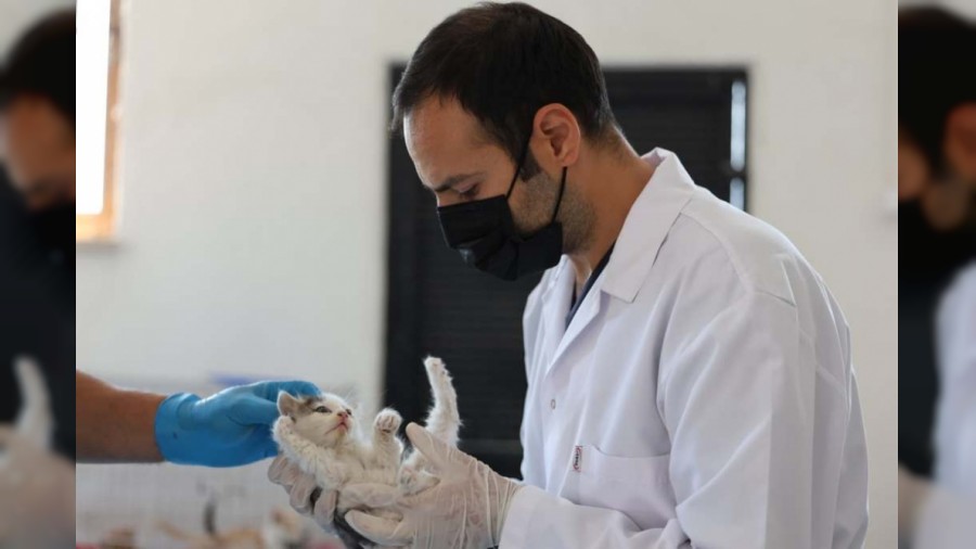 "Siz Sahiplenene Kadar Biz Ev Sahiplii Yapyoruz"