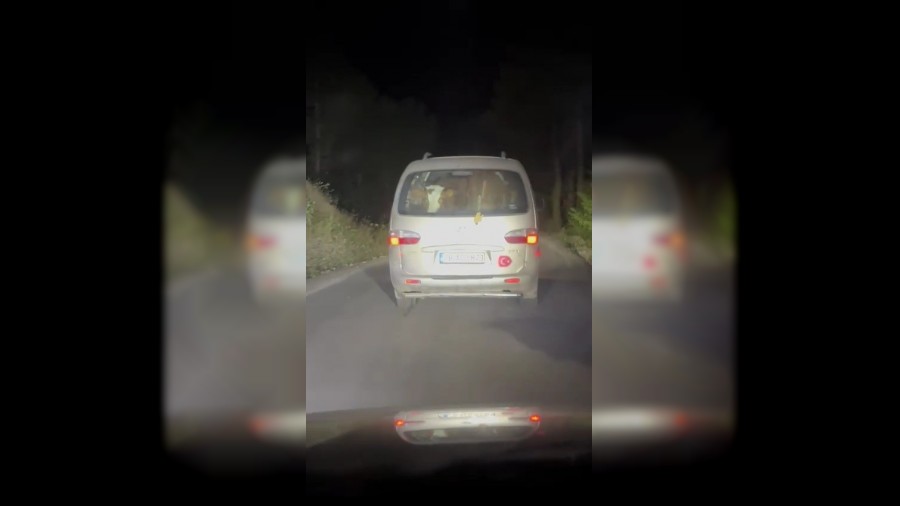 Yangnda mahsur kalan hayvanlar tahliye ettiler