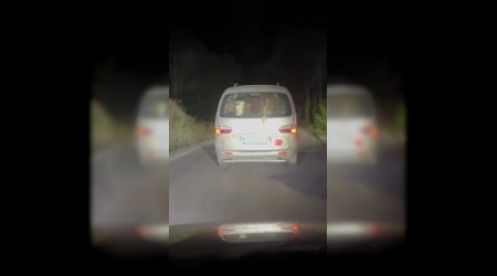 Yangnda mahsur kalan hayvanlar tahliye ettiler