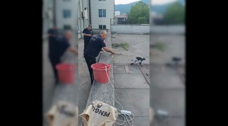 Havalandrma boluuna den kediyi kurtarmak iin seferber oldular
