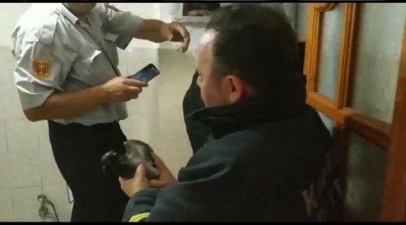 tfaiye ekiplerinden gvercin kurtarma operasyonu 