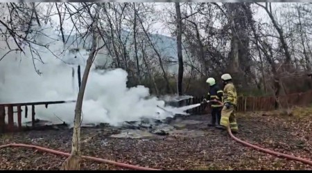 Kamelya yang�nda k�le d�nd�