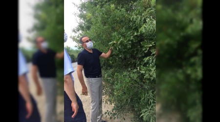 Karabk fstk kenti olma yolunda