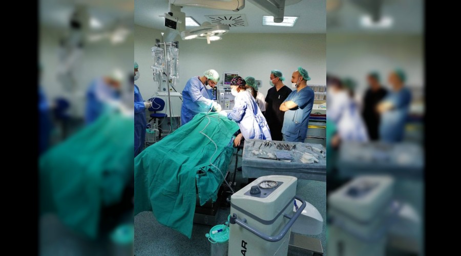 Karabük'te anestezi ile diş sağlığı hizmeti başladı