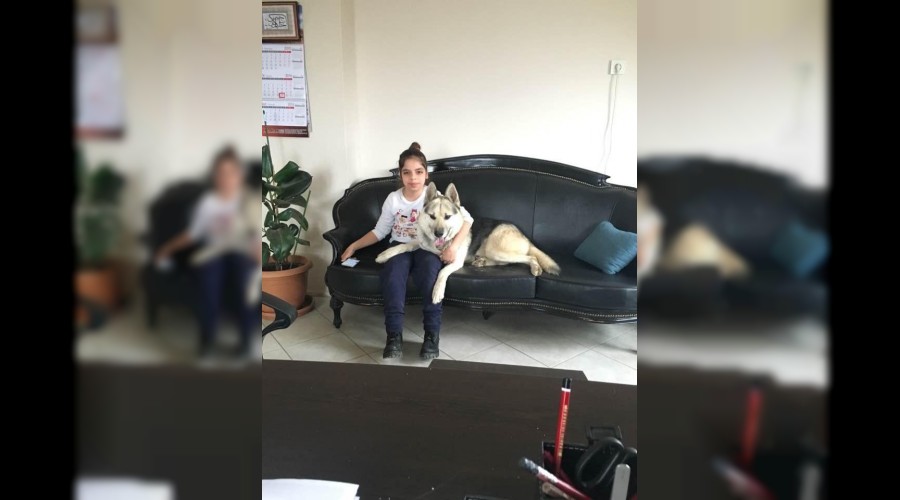 Köpeğini bulana 3 bin TL ödül verecek