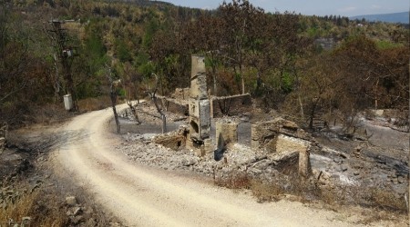 Orman yangnnda kyn bir mahallesi yok oldu