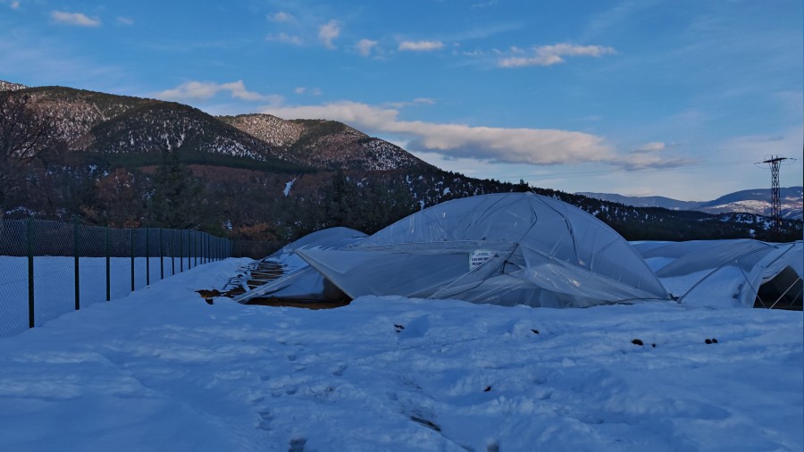 Seralar� y�k�lan �ift�iler y�zbinlerce TL zarar etti