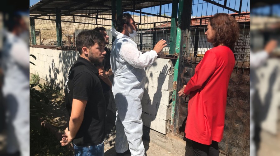 Bakan Kse'den hayvan barnanda inceleme