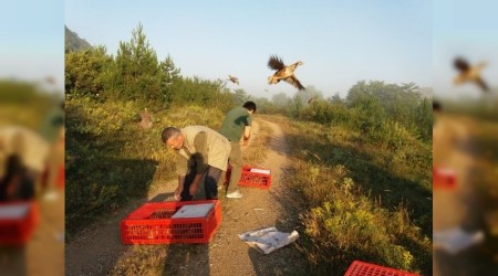 Karabkte Knal Keklikler doayla bulutu