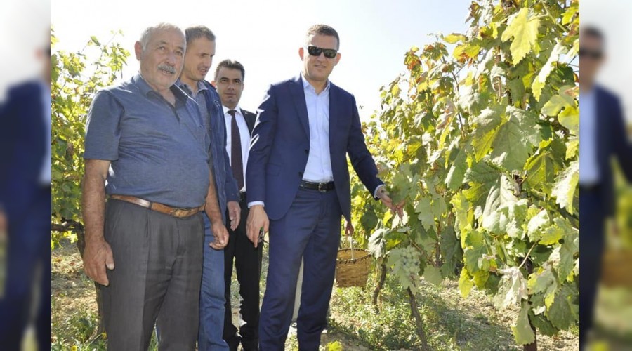 Safranbolu'da "bağ bozumu"