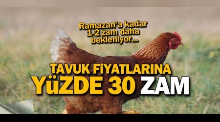 Tavuk fiyatlarna yzde 30 zam