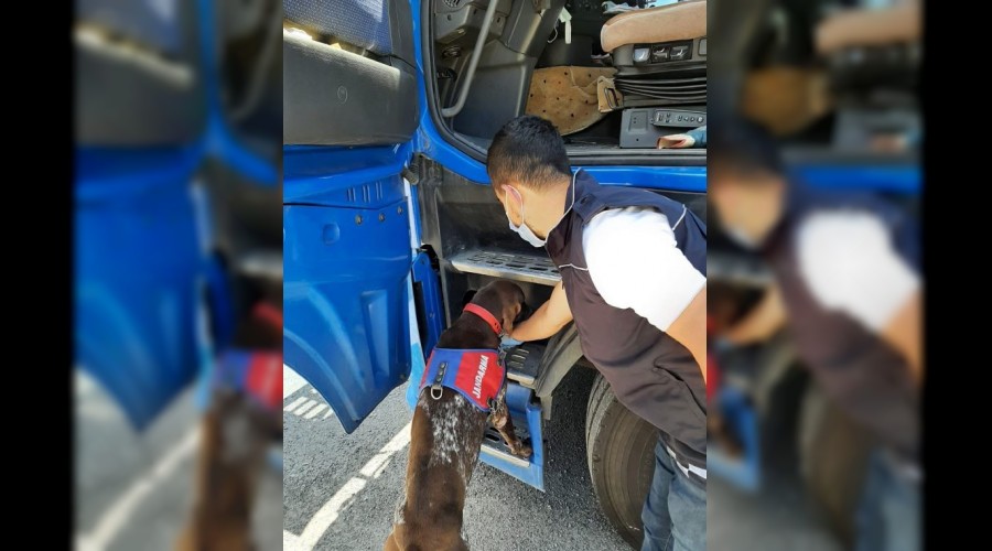 Yenice'de uyuturucu operasyonu