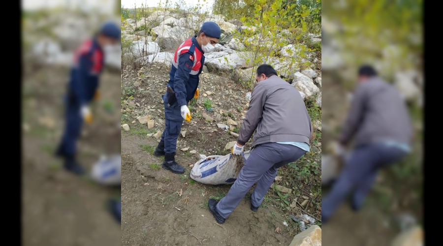 zinsiz salyangoz toplayanlara para cezas kesildi