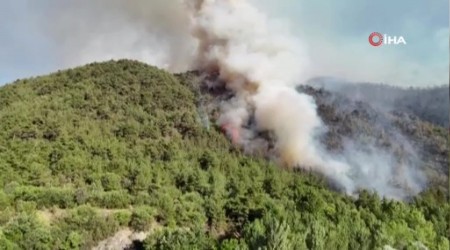 Karabk'te orman yangn devam ediyor
