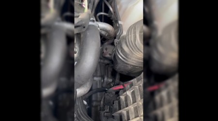Otomobilin motoruna skan yavru kedi kurtarld