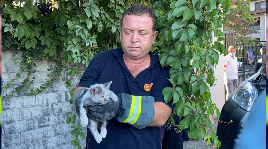 Yavru kedi skt yerden telefon sesi ile kurtarld