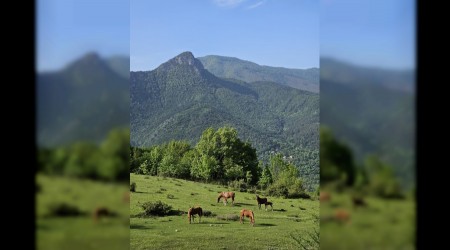 Yaylalarn zgr ruhlar ylk atlar havadan grntlendi